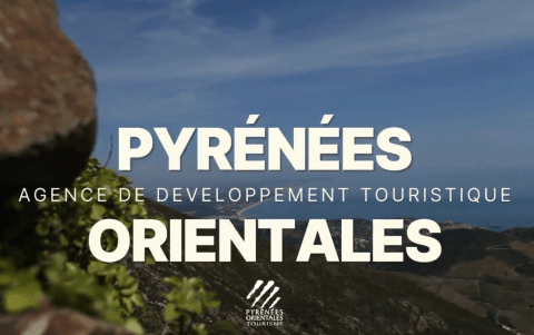 qsn vignette_ra_24.png